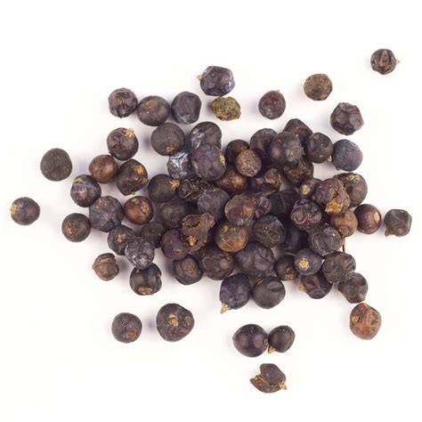 Juniper Berries | Certified Organic – Gneiss Spice