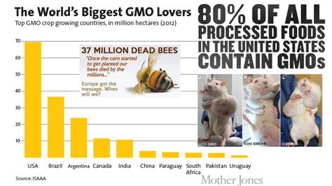 Monsanto & GMO