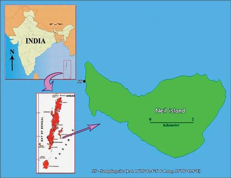 Map showing sampling station in the Neil island. | Download Scientific ...