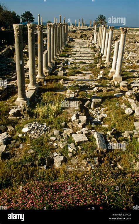 Ruins of ancient city, Tyre, Lebanon Stock Photo - Alamy