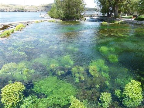 Giant Springs State Park in Great Falls, MT. | USA MT. GREAT FALLS ...