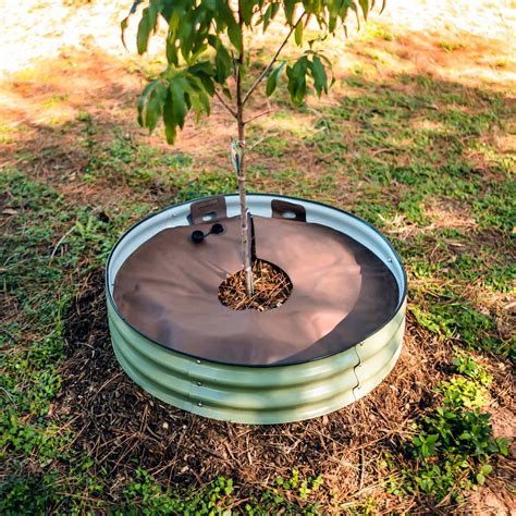 Tree Surround & Watering Ring Kit – Vego Garden