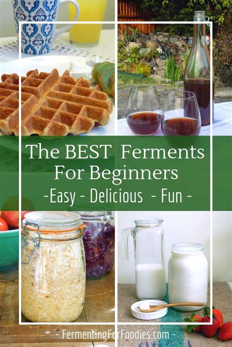 Fermenting For Beginner's - Where You Should Start | Fermentation ...