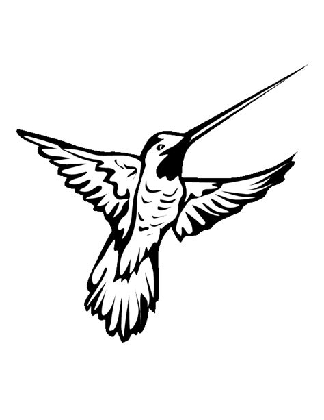 Printable Hummingbird Stencil - Printable Coloring Pages