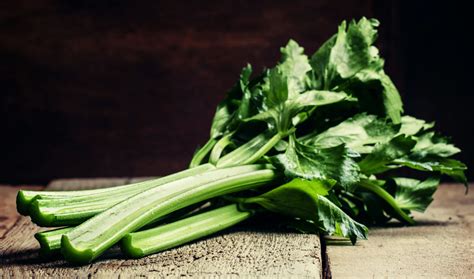 Celery Recipe & Nutrition - Precision Nutrition's Encyclopedia of Food