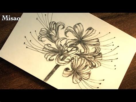 Red spider lily drawing tutorial with pencil (in 5 Minutes) - YouTube