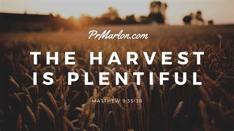 The Harvest is Plentiful — Pr. Marlon's Blog