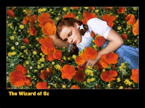 Dorothy In the Poppy Field - The Wizard of Oz Wallpaper (4640408) - Fanpop