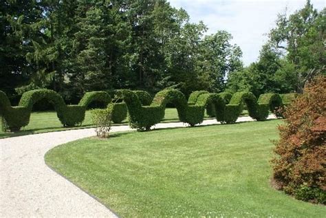 Garden Hedges Ideas