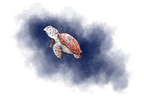 SAD&CUTE collection: Turtle Drawing by Effndope Art | Saatchi Art