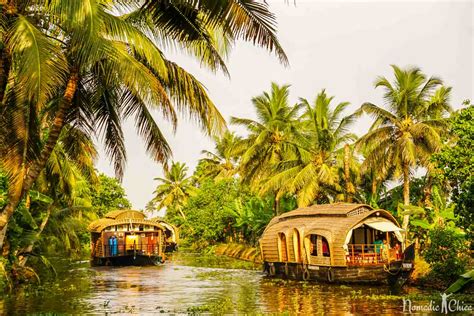 Human by Nature, and the beauty of Kerala | NomadicChica Travel and ...