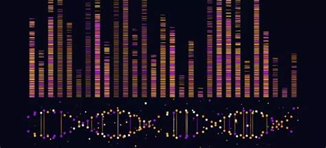 Genes: the complete map of their function - Owpit