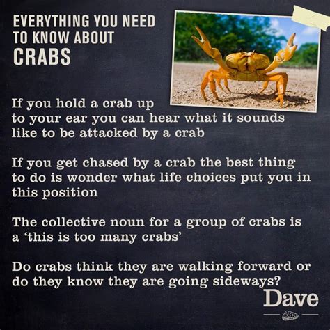 Crab Facts : r/cremposting