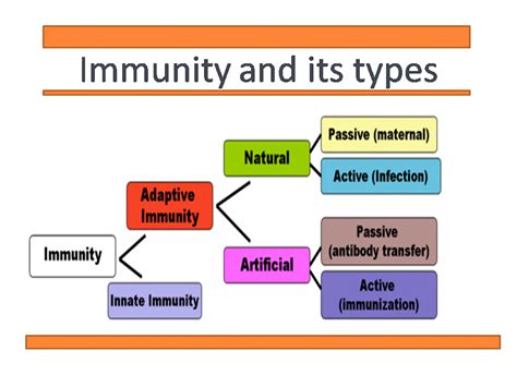 Immunity and its types: Innate and Acquired immunity - Online Biology Notes