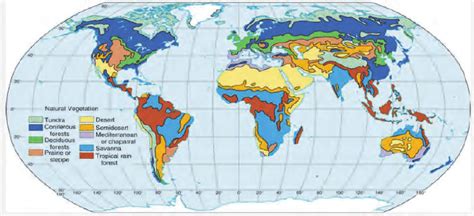 Population distribution