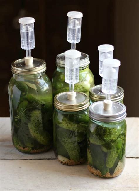 Homemade Fermented Pickle Recipe | The Prairie Homestead