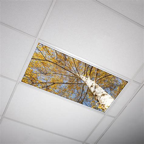 Fluorescent Decorative Ceiling Light Covers : Portfolio of Decorative ...