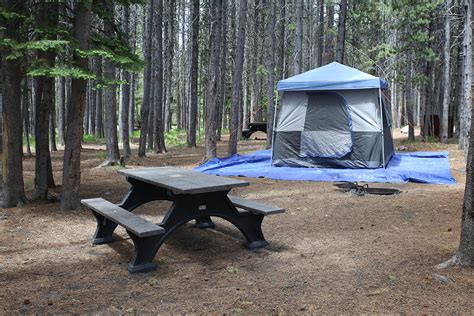 Bridge Bay Campground Yellowstone Map - Sibby Dorothee