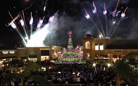 Immortal Fitness: 15 places to see Christmas lights in the Tampa Bay area