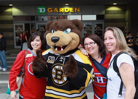 18+ Boston Bruins Mascot Pictures