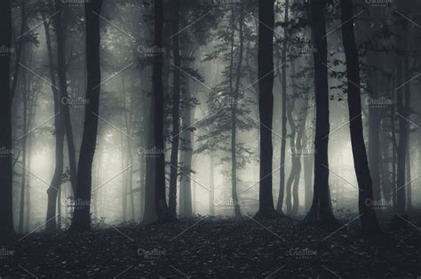 Dark Haunted Forest at Night