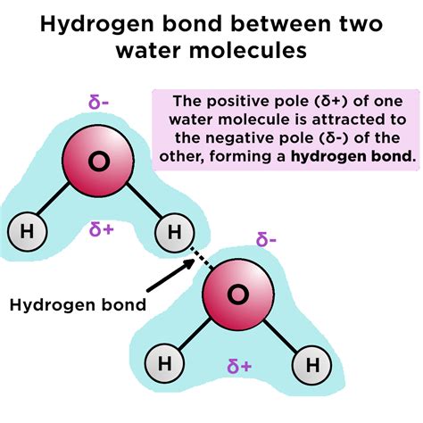 Hydrogen bonding - Hopinno