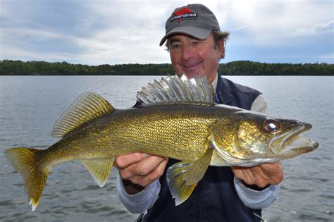 Walleye fishing Q&A: Live vs. preserved minnows, jigging depth and more ...