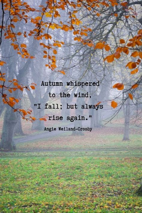 Falling Leaves Quotes - ShortQuotes.cc