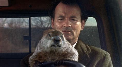 Groundhog Day movie - cecil-flatt