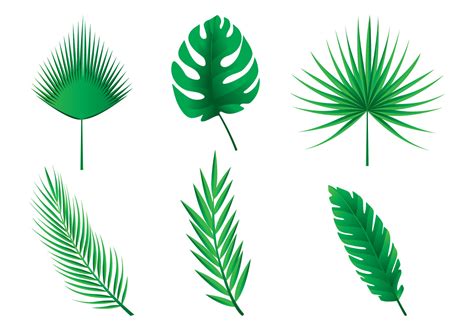 Palm Tree Leaf Drawing | Free download on ClipArtMag