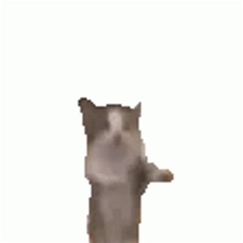 Gianbortion Cat Sticker – Gianbortion Cat Dance – discover and share GIFs