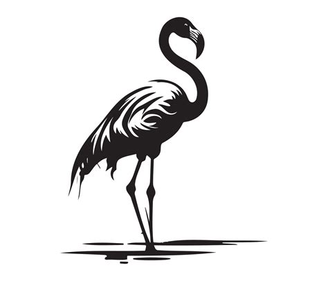 Flamingo, Silhouettes Flamingo, black and white Flamingo vector ...