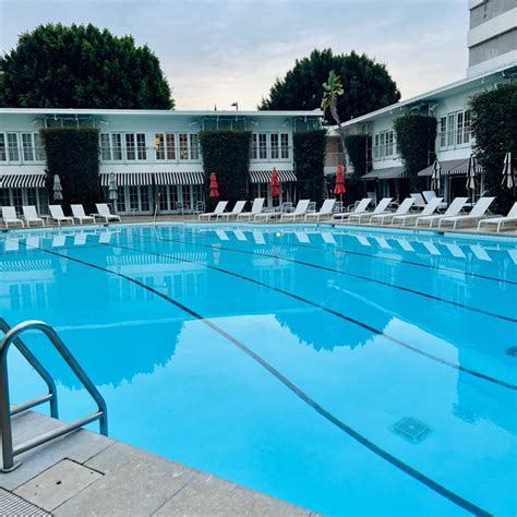 Poolside @ The Beverly Hilton - Hotel Pool