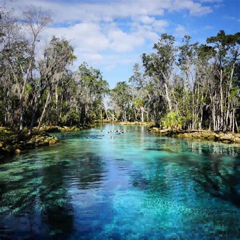 Swimming with Manatees at Crystal River National Wildlife Refuge ...