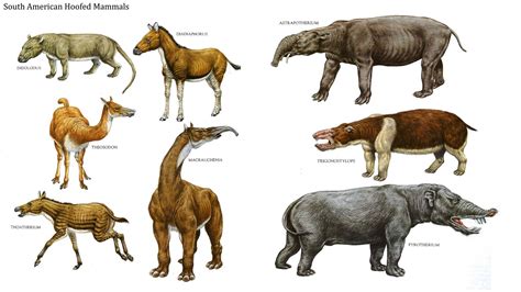 Largest Extinct Animals In The World