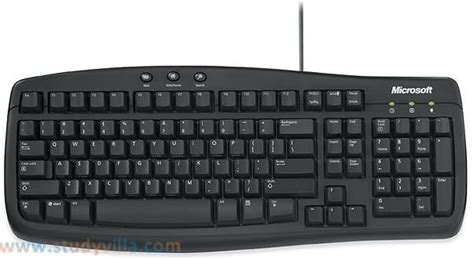 Keyboards are output devices that allow you to type. | Output device ...