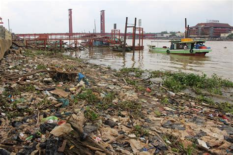 Sungai Musi Tercemar, Ikan-Ikan Terancam Limbah dan Mikroplastik ...