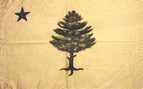 Local History Matters: The 1901 Maine State Flag