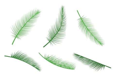 Palm Leaf Vectors - Download Free Vector Art, Stock Graphics & Images