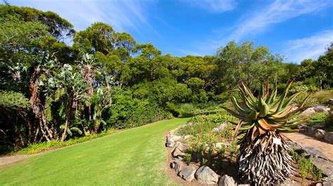 Kirstenbosch National Botanical Gardens in Cape Town, | Expedia