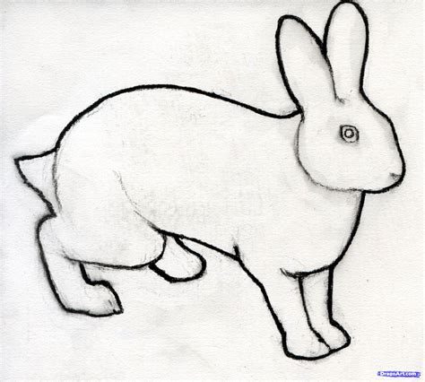 Bunny Pencil Drawing | Free download on ClipArtMag