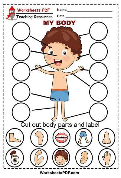 Outrageous Parts Of The Body Worksheet For Kindergarten Pdf Winter ...