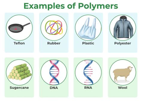 Monomers And Polymers Worksheets