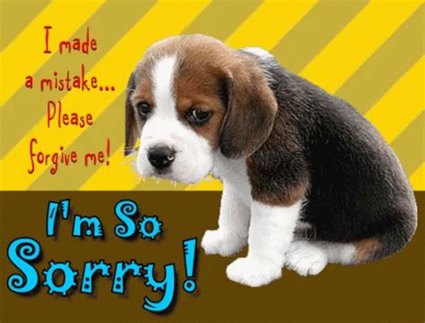 Im So Sorry Sad Puppy GIF - Im So Sorry Sorry Sad Puppy - Discover ...