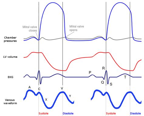 Jugular Venous Pressure (JVP) | Measurement | Waveforms | Geeky Medics