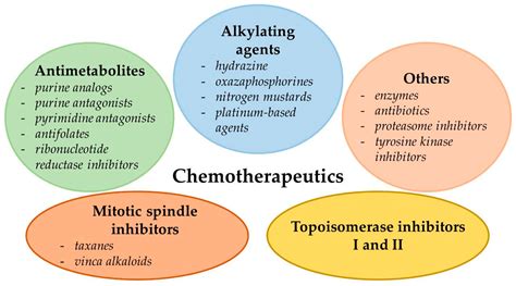 IJMS | Free Full-Text | Mechanisms of Multidrug Resistance in Cancer ...