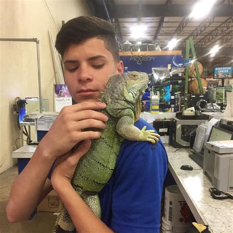 Tank our store iguana is very affectionate today! #thatpetplace # ...