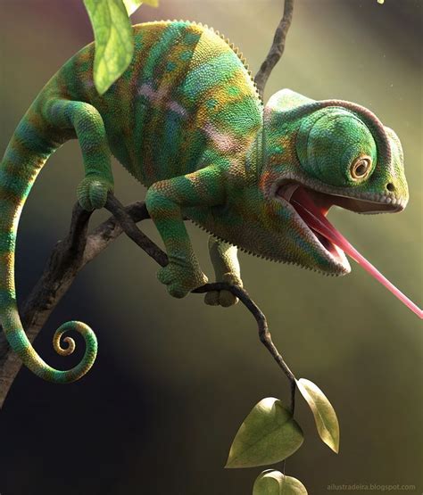 Top 5 Different Types of Chameleons - Fische @ Meer - # | Camaleon ...