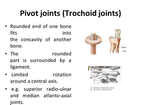 Image result for trochoid joint | Physiology, Joint, Radio