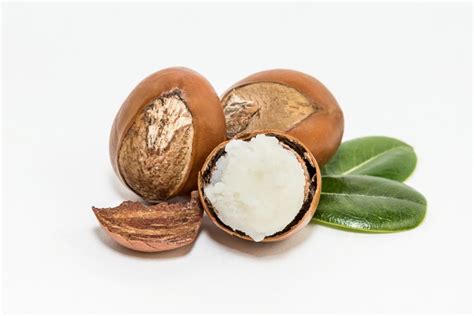 Shea Butter And Its Health Benefits | Northernghana.net